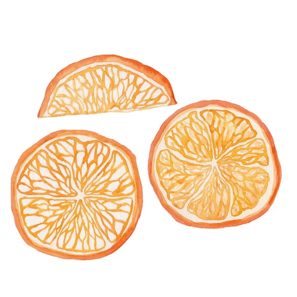 Illustrazione Acquerello Frutta Arancione Rami Bel Disegno Sfondo Bianco Isolato — Foto Stock