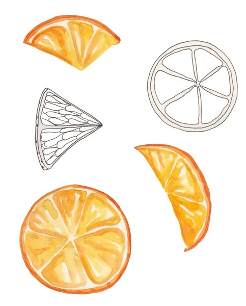 Akvarell Illustration Orange Frukt Grenar För Vacker Design Vit Isolerad — Stockfoto