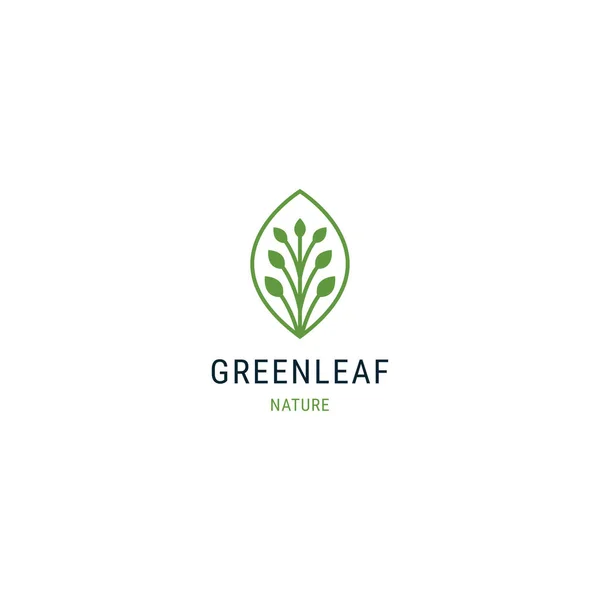 Green Leaf Line Logo Design Template — Stock Vector