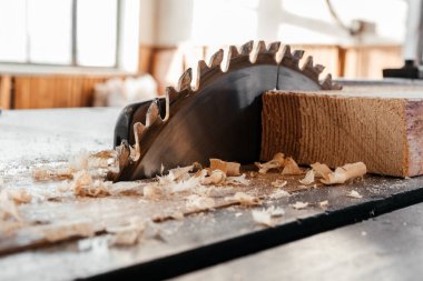 Masaüstündeki dairesel testere bir çam ağacını keser..