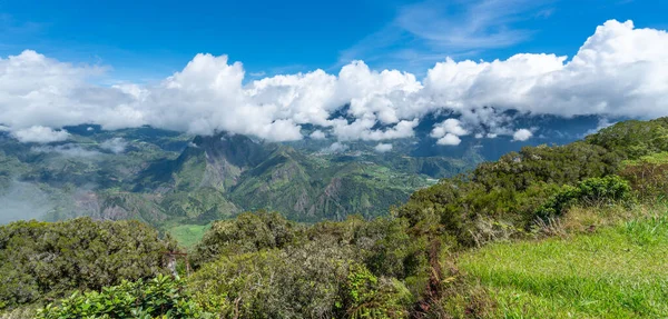 Reunion Adası Ndaki Tepenin Üstünde Dağ Tepeleri Taze Bitki Örtüsü — Stok fotoğraf