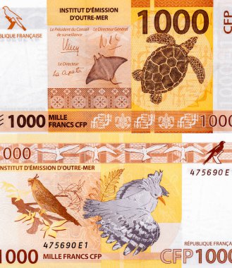 Wallis Adası 'ndan tapa kumaş deseni; Stingray (Manta); kaplumbağa. Fransız Pasifik Bölgelerinden Portre 1000 Frank 2014 Banknotları.