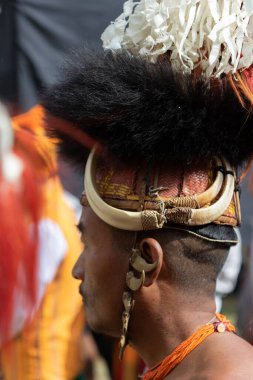 4 Aralık 2016 'da Kohima Nagaland Hindistan' da geleneksel başlık takmış bir Naga kabilesinin seçici odak noktası portresi