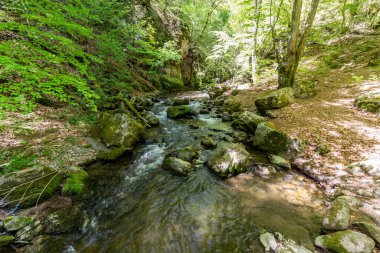 Bulgaristan 'ın Fotinovo köyü yakınlarındaki Fotinksi şelalelerine giden, Fotinska nehri boyunca uzanan orman yolu.