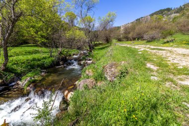 Bulgaristan 'ın Fotinovo köyü yakınlarındaki Fotinksi şelalelerine giden, Fotinska nehri boyunca uzanan orman yolu.