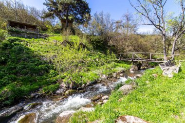 Bulgaristan 'ın Fotinovo köyü yakınlarındaki Fotinksi şelalelerine giden, Fotinska nehri boyunca uzanan orman yolu.