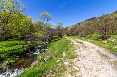 Bulgaristan 'ın Fotinovo köyü yakınlarındaki Fotinksi şelalelerine giden, Fotinska nehri boyunca uzanan orman yolu.