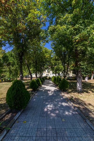 Pasarela Parque Con Túnel Árboles Arbustos Creando Una Agradable Sombra —  Fotos de Stock