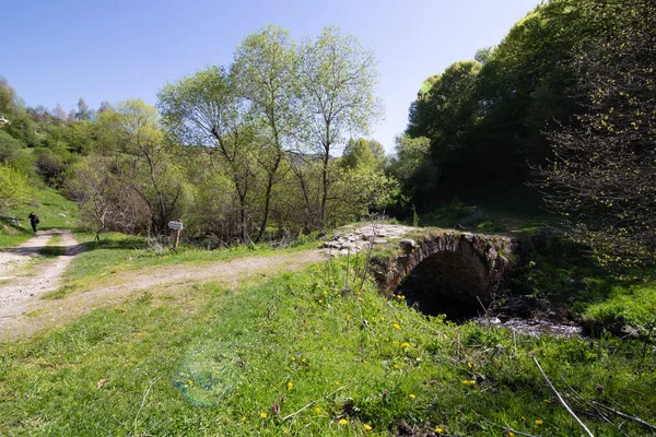 Puente Sobre Río Fotinska Cerca Del Sendero Las Cascadas Fotinskite — Foto de Stock