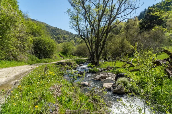 Camino Través Del Bosque Junto Río Fotinska Yendo Las Cascadas — Foto de Stock