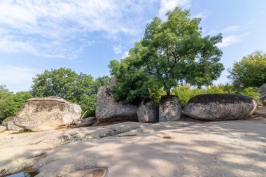 Beglik Tash or Begliktash, is a prehistoric rock phenomenon situated on the southern Black Sea coast of Bulgaria, a few kilometers north of the city of Primorsko.