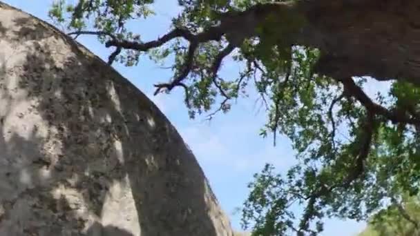Beglik Tash Begliktash Prehistoric Rock Phenomenon Situated Southern Black Sea — стоковое видео