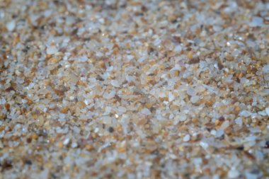 Bulgaristan 'ın Karadeniz sahillerindeki aşırı kum Marco' su