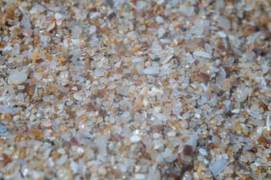 Bulgaristan 'ın Karadeniz sahillerindeki aşırı kum Marco' su