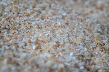 Bulgaristan 'ın Karadeniz sahillerindeki aşırı kum Marco' su