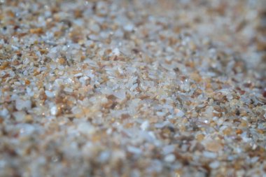 Bulgaristan 'ın Karadeniz sahillerindeki aşırı kum Marco' su