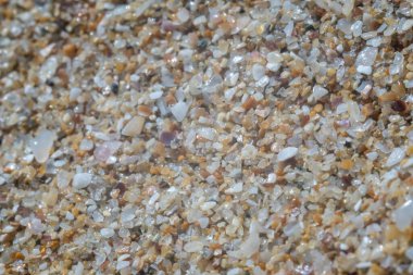 Bulgaristan 'ın Karadeniz sahillerindeki aşırı kum Marco' su