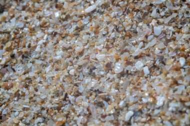 Bulgaristan 'ın Karadeniz sahillerindeki aşırı kum Marco' su