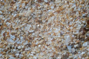 Bulgaristan 'ın Karadeniz sahillerindeki aşırı kum Marco' su