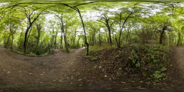 Muhteşem Krushunski şelalesinin turkuvaz suları ve yeşil yosunlu 360 fotoğrafı. Bulgaristan 'ın Lovech kenti yakınlarında yer alıyor