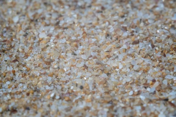 Bulgaristan 'ın Karadeniz sahillerindeki aşırı kum Marco' su