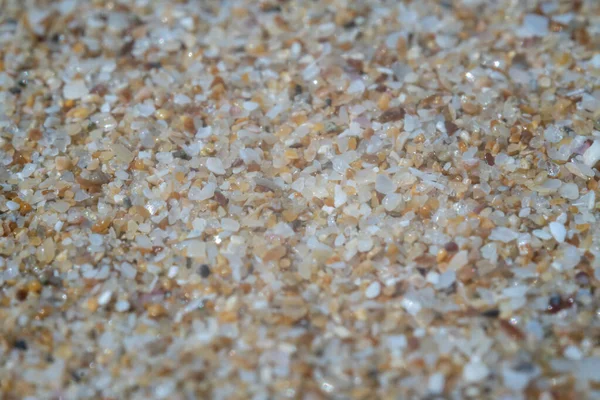 Bulgaristan 'ın Karadeniz sahillerindeki aşırı kum Marco' su