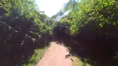 Turkuvaz suları ve güzel ekosistemi olan Krushunski şelaleleri