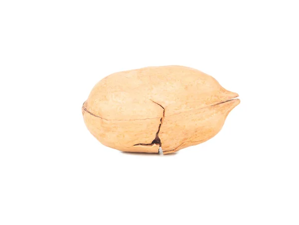 Pecan Nut Shell Isolated White Background — Stock Photo, Image