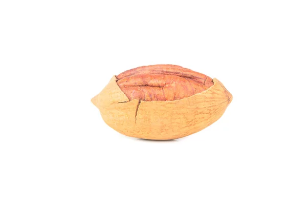 Pecan Nut Cracked Shell Isolated White Background — Stockfoto