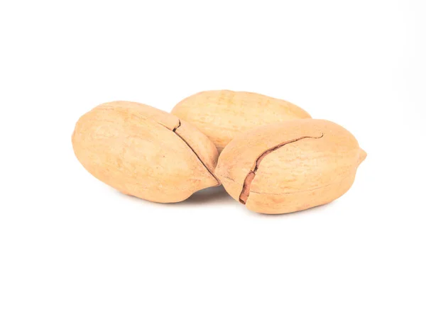 Three Fresh Pecans Shell White Background — Stockfoto