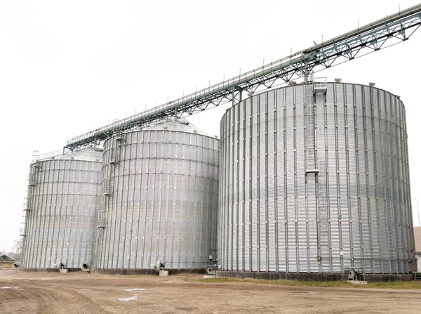 Drie Metalen Silo Voor Opslag Van Graan Boerderij — Stockfoto