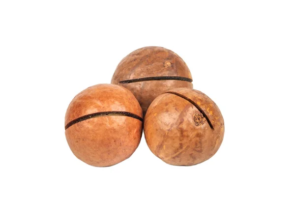 Tři Makadamia Ořechy Skořápce Izolované Bílém Pozadí — Stock fotografie