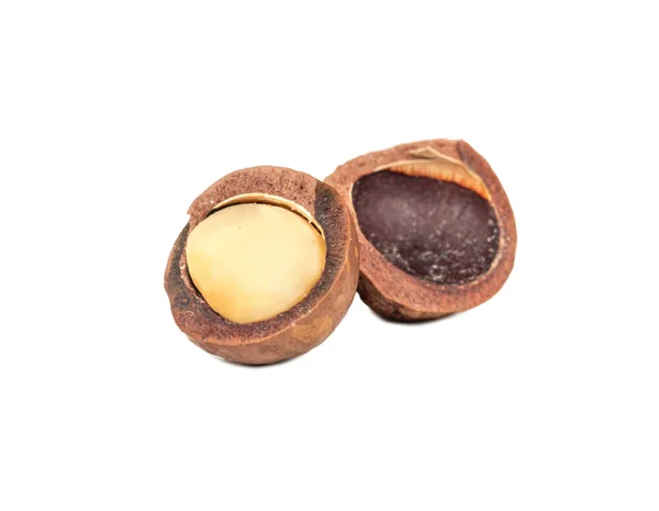 Dado Macadamia Aperto Isolato Sfondo Bianco — Foto Stock