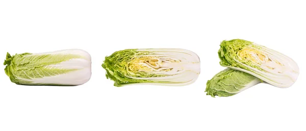 Green Napa Cabbage White Purple Chinese Cabbage Isolated White Background — 스톡 사진