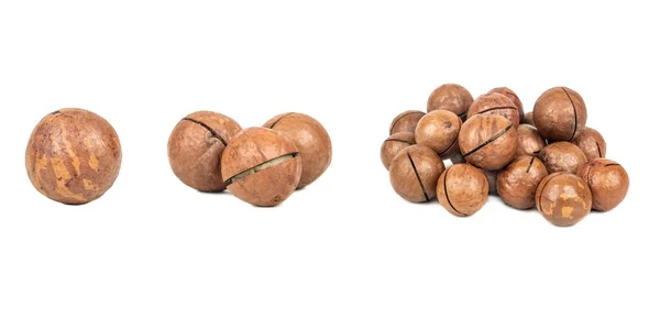 Macadamia Nuts Peeled Macadamia Isolated White Background Set — Stockfoto