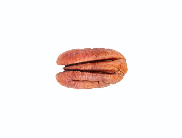 Half Dry Pecan Shell Isolated White Background Top View —  Fotos de Stock