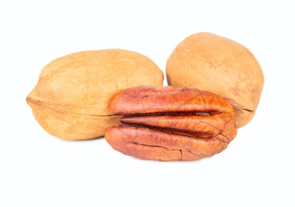 Two Shelled Nuts Half Pecan Isolated White Background — Φωτογραφία Αρχείου