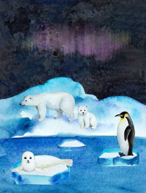 Kartpostal, çocuk kitabı illüstrasyonu, okyanuslu kutup gecesi sahnesi ve sevimli vahşi hayvanlar..