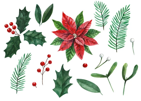 Grande set di piante e bacche natalizie, poinsettia, agrifoglio e vischio isolati su sfondo bianco come elementi di design clip art. — Foto Stock