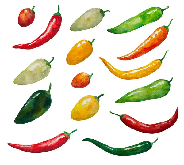 Великий набір різних кольорових гострих перців чилі, червоний, зелений і жовтий, ізольовані на білому тлі. Акварельна ілюстрація в реалістичному стилі — стокове фото
