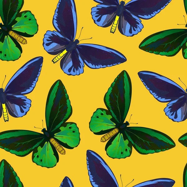 Απρόσκοπτη μοτίβο με πολύχρωμες μεγάλες τροπικές πεταλούδες, χελιδόνια και φτερά πουλιών, παπίλιο και ornitoptera papilionidae. — Διανυσματικό Αρχείο