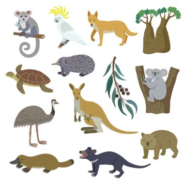 Big set of Nature of Australia, animals, birds, turtle and plants. Vector cartoon clip art hand drawn illustration, isolated on white background. clipart