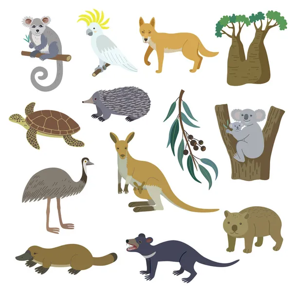 Grande insieme di Natura dell'Australia, animali, uccelli, tartarughe e piante. Illustrazione disegnata a mano della clip del fumetto vettoriale, isolata su sfondo bianco. — Vettoriale Stock