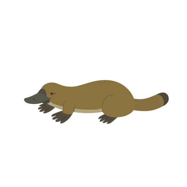 Leuke cartoon platypus geïsoleerd op witte achtergrond. — Stockvector