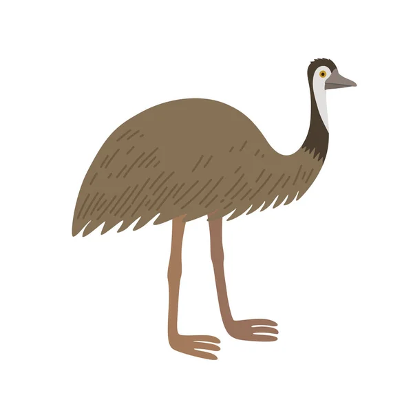 Cartoon struzzo emu isolato su sfondo bianco. Uccello della fauna australiana. — Vettoriale Stock