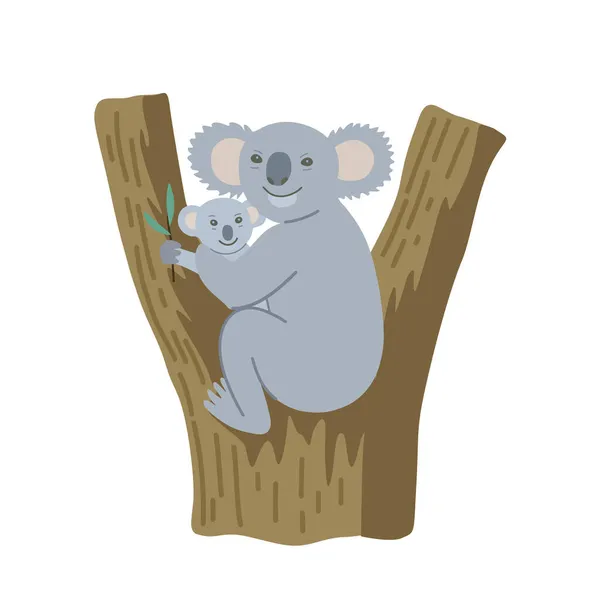 Leuke cartoon koala met kleine baby zittend op eucalyptus boom. Illustratie geïsoleerd op witte achtergrond. — Stockvector