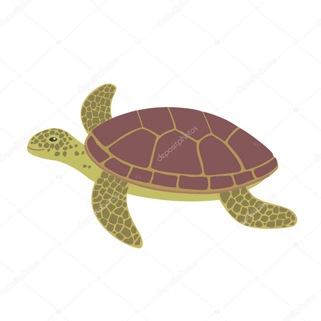 Cute cartoon sea turtle isolated on white background. 