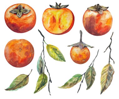 El yapımı hurma seti, beyaz arka planda izole edilmiş. Suluboya resim. 