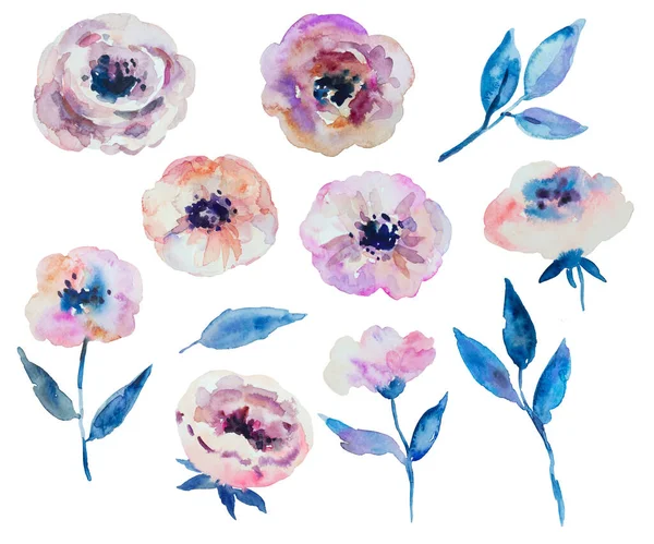 Flores de anêmona aquarela e folhas isoladas em fundo branco. Coleção de elementos de design desenhados à mão. — Fotografia de Stock