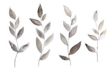 Yapraklarla boyanmış altın suluboya dallar, beyaz arkaplanda izole edilmiş tasarım elementleri